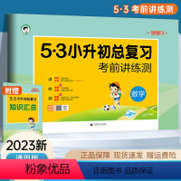 [正版]2023新53小升初总复习数学真题试卷必刷题人教通用版 5.3五三天天练考前讲练测知识汇总六年级下册模拟真题专