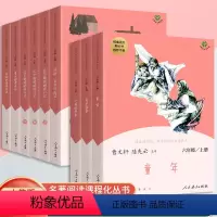 [上下册全套]共9本 [正版]快乐读书吧六年级上册下册全套童年爱的教育小英雄雨来鲁滨逊漂流记爱丽丝漫游奇境全套人民教育出