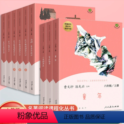 [上下册全套]共9本 [正版]快乐读书吧六年级上册下册全套童年爱的教育小英雄雨来鲁滨逊漂流记爱丽丝漫游奇境全套人民教育出