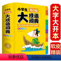 [正版]2022大成语词典 新版彩图大开本大字版字典汉语成语词典现代成语词典常用成语工具书 教育小学生多功能大成语词典