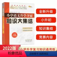 [语数英3本]知识大集结 小学升初中 [正版]小升初知识大集结小学语文升学夺冠基础重点知识大全通用版小学生一三二四六五年