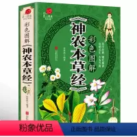 [正版]彩图加厚版《神农本草经》彩色图解 原文译文注释 中草药大全 中国医学巨著中草药详解中药药性家庭养生书籍 中医