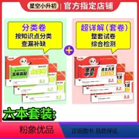 小升初❤一套就够![分类卷+真题卷]语数英6本装 小学升初中 [正版]2024版小白鸥星空小升初分类卷真题卷万唯人教版语