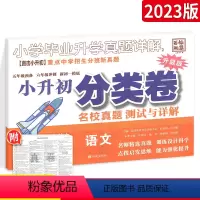 [正版]2023版小升初真题分类卷语文 全国版 小学毕业升学真题详解 小升初语文真题试卷详解 六年级小考小升初招生入学