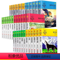 品藏书系 升级版(36册) [正版]动物小说大王沈石溪品藏书系升级版全套狼王梦斑羚飞渡雪豹悲歌后一头战象一只猎雕的遭遇中