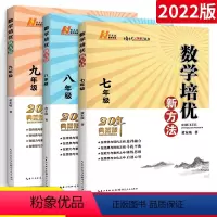 [培优新方法]七八九年级数学 3本 七年级/初中一年级 [正版]2023新版数学探究应用新思维七年级上册下册通用版培优竞