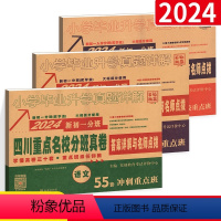 [四川版]新初一 分班真卷 语数英 3本 国一上 [正版]2024四川名校新初一入学分班真卷 新初一语数英冲刺试卷 详