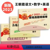 [⭐⭐全面发展]真题卷-语数英3本 小学升初中 [正版]2023新版小升初真题卷系统总复习语文数学英语人教版小学六年级下