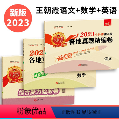 [⭐⭐全面发展]真题卷-语数英3本 小学升初中 [正版]2023新版小升初真题卷系统总复习语文数学英语人教版小学六年级下