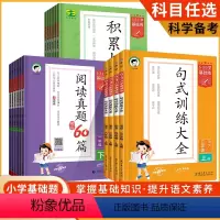 上册4本:归类复习+阅读真题+句式训练+积累与默写 小学一年级 [正版]2023版53句式训练大全句子专项练习簿题阅读真
