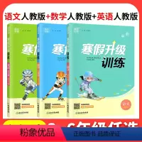 ❤❤❤[3本]语文+数学+英语人教版 小学三年级 [正版]2024寒假升级训练一二三年级四年级五年级六年级上册下册语文数