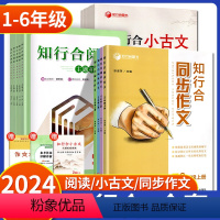 [1年级全一册]知行合[阅读主题拓展训练] 小学通用 [正版]2024春季知行合阅读小古文主题拓展训练一二三四五六年级下