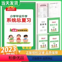 [正版]2023新Sunny同学小升初系统总复习语文小升初真题卷人教版六年级上下册小学升初中总复习资料思维专项训练小考