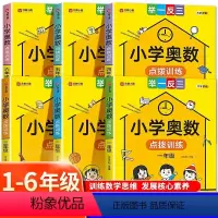 (一年级)奥数点拨训练 全国通用 小学通用 [正版]小学奥数点拨训练一二三四五六年级全一册通用版 小学生奥数举一反三训练