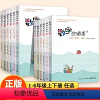 数学在哪里 一年级下 [正版]数学在哪里一二三四五六年级上册下册修订版小学生数学阅读思维同步训练趣味数学故事儿童益智力开