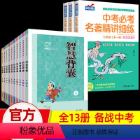 [新版智慧背囊+中考名著]全13册 初中通用 [正版]新版智慧背囊1-10辑全套10册初中生作文素材大全中高考作文书中学