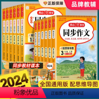 [下册]同步作文+阅读理解 小学一年级 [正版]2024新版同步作文一二三四五六年级上下册人教版小学生阅读理解与答题模板