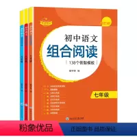 赞读[七八九年级]初中语文组合阅读138个答题模板 初中通用 [正版]抖音同款赞读 初中语文阅读组合训练138个答题模板