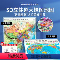 [2片装]时光学中国地图+世界地图(3D凹凸立体) [正版]2024新版 时光学中国地图和世界地图3d立体 凹凸背景墙贴
