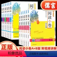 [全2册]阅读小卷A版+B版 小学一年级 [正版]2024新版木头马阅读小卷小学语文AB版一二三四五六年级人教版活页检测
