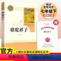 [正版]骆驼祥子人民教育出版社 老舍七年级下册 人民教育出版社名著阅读 名著阅读书 中学教辅7年级下册课内外阅读