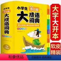 [正版]抖音同款/成语词典2022新版中小学生多功能大全书彩色大开本字典中华现代汉语词语解释工具书儿童四字成语接龙故事