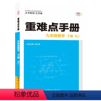 [正版]重难点手册.九年级数学下册RJ