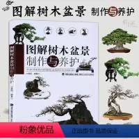 [正版]图解树木盆景制作与养护 盆景书籍盆栽图书大全树木盆景造型设计书栽培技术盆景栽培技术书中小型盆景制作图解家庭园艺