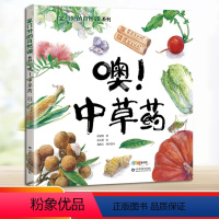 噢!中草药 [正版]噢!中草药 家门外的自然课系列 徐建明/著 孙文新山东科学技术出版社噢二年级暑假阅读百班千人小学生2