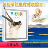 非凡动物绘本:雪域精灵 [正版]非凡动物绘本:雪域精灵 精装 儿童动物故事绘本 4-6-10-12岁培养孩子生命教育绘本