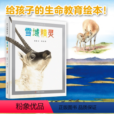 非凡动物绘本:雪域精灵 [正版]非凡动物绘本:雪域精灵 精装 儿童动物故事绘本 4-6-10-12岁培养孩子生命教育绘本