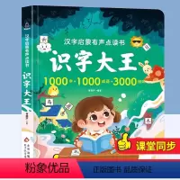 汉字启蒙有声点读书:识字大王 [正版]青葫芦图书 会说话的汉字家族2000+手指点读发声书识字大王早教有声播放书幼小衔接