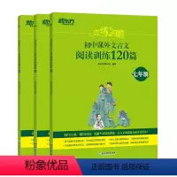 初中课外文言文阅读训练120篇 七年级/初中一年级 [正版]恋练有题 初中课外文言文阅读训练120篇七年级八年级九年级
