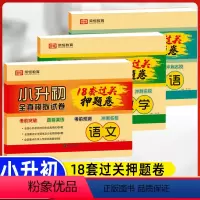 小学升初中 18套真题卷+毕业总复习(语文+数学+英语)6本 [正版]2024小升初真题卷语文数学英语试卷必刷题人教版小