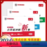 6年级 语文+数学+英语 小升初冲刺新卷 小学通用 [正版]小学期末冲刺新卷语文数学一年级二年级三年级上册下册四五六年级