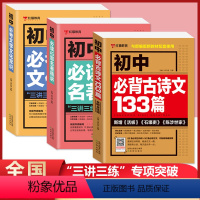 (3本)初中语文3本套装 初中通用 [正版]红猫初中必背古诗文133篇+初中必读12部名著精讲+初中必考文学文化常识七年