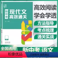 新中考现代文高效通关 九年级/初中三年级 [正版]2024版新中考现代文高效通关阅读理解专项技能训练九年级记叙文议论文说