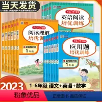 [正版]阅读理解专项训练书一二三年级四五六年级上册下册小学语文英语阅读培优提分数学应用题强化训练视频讲解同步练习册每日