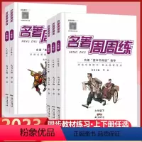 名著周周练 九年级/初中三年级 [正版]2023版名校课堂名著周周练七八九年级上册下册语文名著阅读导读与精练中考考点阅读