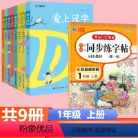 (9本)爱上汉字+一年级语文练字帖 小学通用 [正版]红猫爱上汉字全套注音版7-14岁小学生一二三四五六年级课外阅读象形