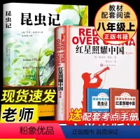 [赠考点]人文红星照耀中国+昆虫记 [正版]昆虫记法布尔 人民文学出版社原著八年级上册必读三四年级七初中生8上完整版节选