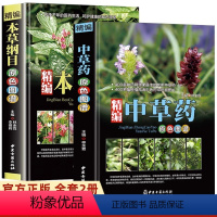 [正版]全2册精编中草药+本草纲目原色图谱中草药全图鉴速查手册图谱中国药材图鉴大全常用中草药识别应用原色图片中医学书籍