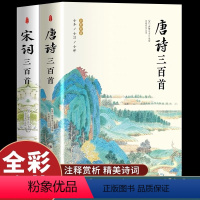 [正版]全套2册 唐诗宋词三百首全集鉴赏辞典中国古诗词大会全解详注赏析原著完整版新注诗词格律译注精选熟读中华古诗文书籍