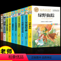 [全10册]小学生课外阅读 [正版]小学生阅读课外书籍老师三四五六年级上下册绿野仙踪 鲁滨逊漂流记 汤姆索亚历险记 昆虫