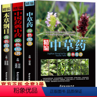 [正版]全3册精编中草药+本草纲目+中国药典中药原色图谱 中草药全图鉴速查手册图谱中国药材图鉴大全常用中草药识别应用中