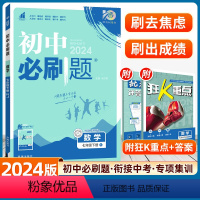 数学 人教版 [正版]2024新版初中七年级下册数学人教版同步练习册北师湘教沪科华师苏科青岛初一7年级七下教辅辅导资料书