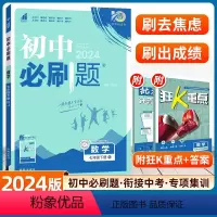 数学 人教版 [正版]2024新版初中七年级下册数学人教版同步练习册北师湘教沪科华师苏科青岛初一7年级七下教辅辅导资料书