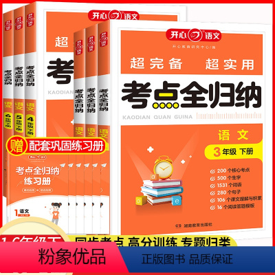 考点归纳+考点归类复习(语文) 一年级下 [正版]开心考点全归纳 小学语文人教版一二三年级四五六年级上册同步基础知识点汇