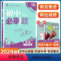 英语 人教版 [正版]2024新版初中七年级下册英语人教版沪牛外研译林冀教初一英语7七年级七下教辅辅导资料书广东同步练习