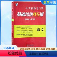 小升初基础培优(语文) 小学升初中 [正版]小升初备考计划冲刺名校45讲语文数学英语真题讲解练习册知识考点梳理小升初真题